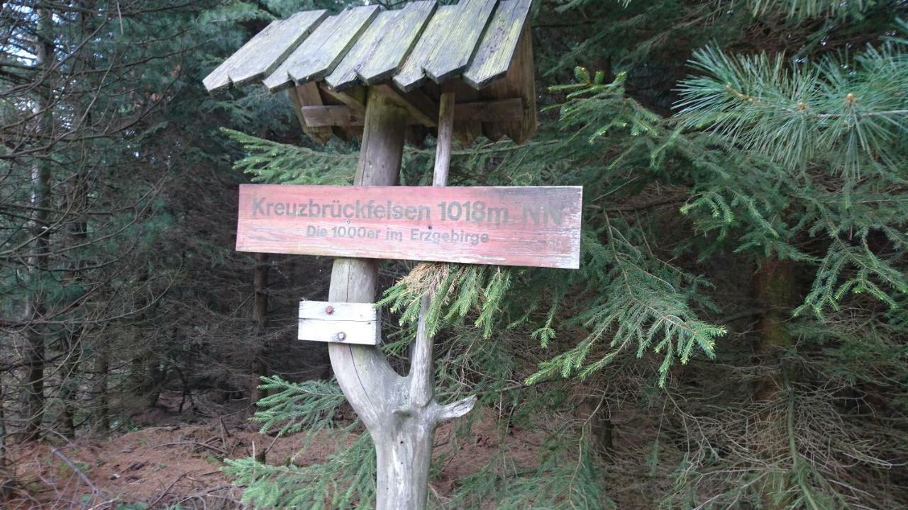 Ferienwohnung Korn Mit Tiefgarage Und Skiraum Oberwiesenthal Eksteriør bilde